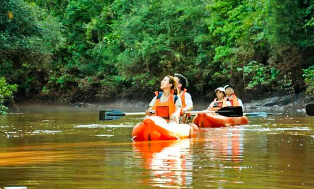 Four people in life jackets paddle orange kayaks along a calm river, surrounded by lush green trees and vegetation of the Iguazu rainforest, enjoying the natural scenery near Yacutinga Lodge, an acclaimed eco-lodge.