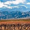Vineyard with bare vines in the foreground, set against rugged hills and snow-capped mountains beneath a partly cloudy sky—perfect for exploration with knowledgeable tour guides.