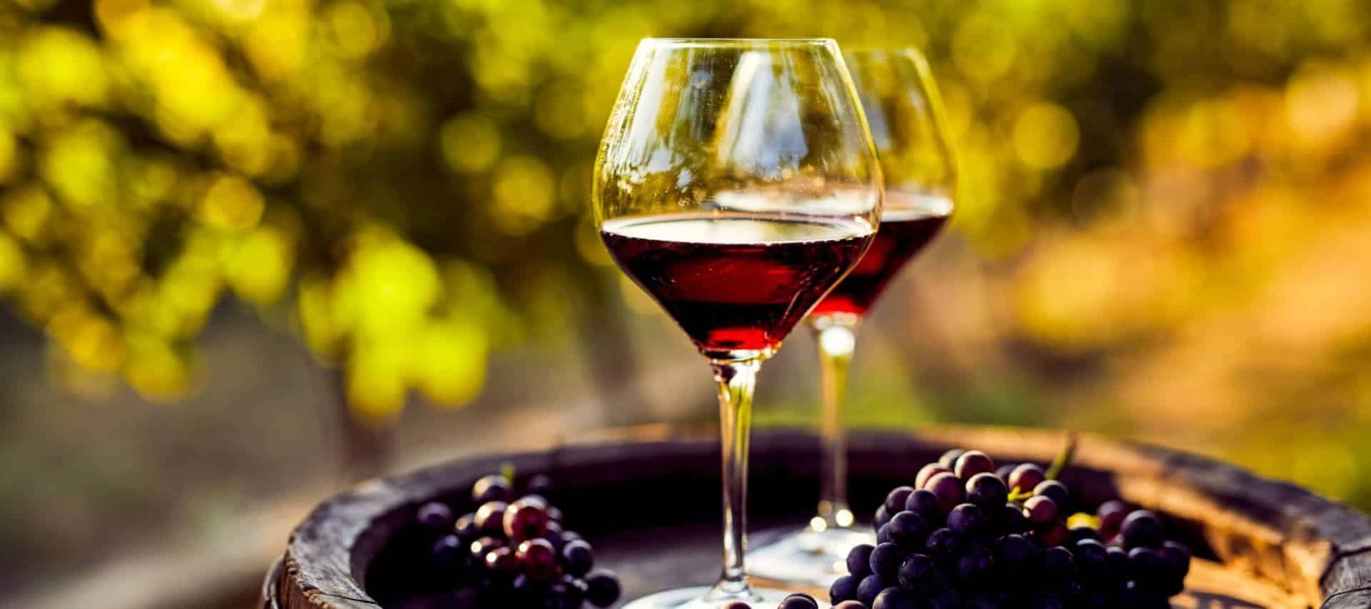 Two glasses of red wine sit on a wooden barrel outdoors, with grape clusters nearby and green vineyard foliage blurred in the background—a perfect scene for Brazil wine tours.