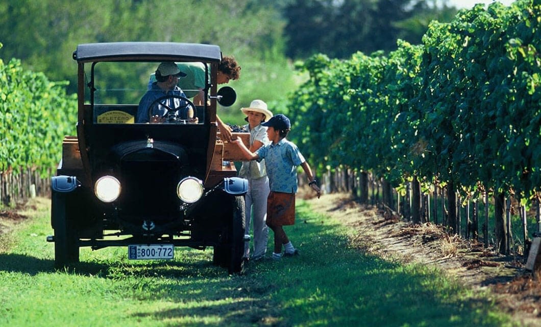 A vintage car is parked between rows of grapevines as three people, including a child, enjoy a sunny day in a lush vineyard—one of the charming things to do in Uruguay for those seeking memorable Uruguay attractions.