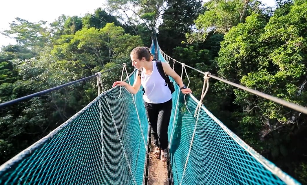 A person wearing a white shirt and backpack carefully walks across a narrow suspension bridge high above a lush green forest near Ceiba Tops Lodge, surrounded by trees and dense foliage.