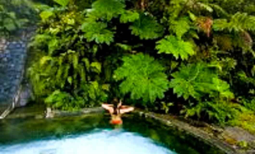 A person relaxes in a natural-looking hot spring pool at Puyuhuapi Lodge, surrounded by lush green tropical plants and large leaves in a serene, outdoor setting.