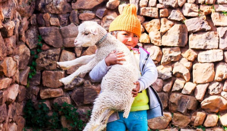 A smiling child in a yellow hat and blue pants stands against a stone wall, holding a fluffy white lamb in their arms.