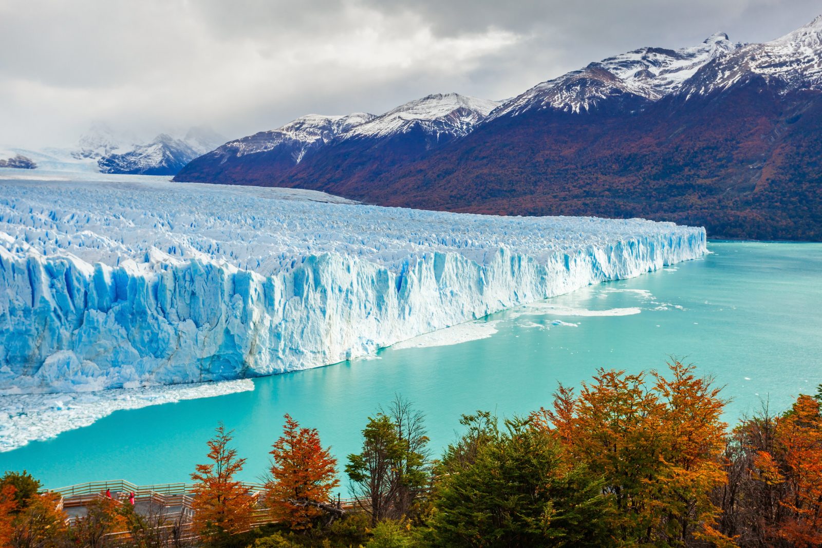 The blue ice face of the Perito Moreno glacier meeting the lake in Los Glaciares National Park