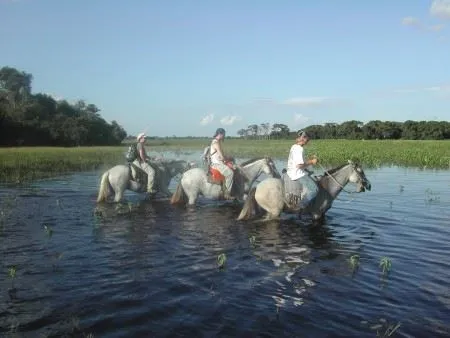 Pantanal Horse Back Riding