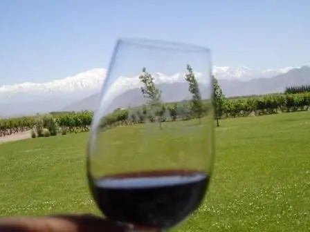 South America Wine Tour