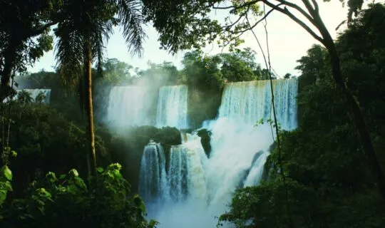 iguazu-falls-from-trees-covered-in-mist
