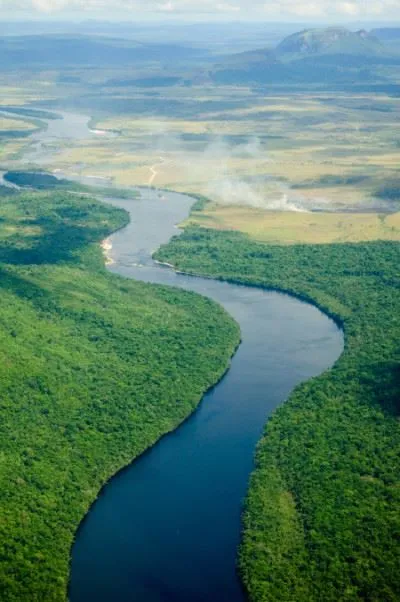 Amazon River Rainforest Aerial