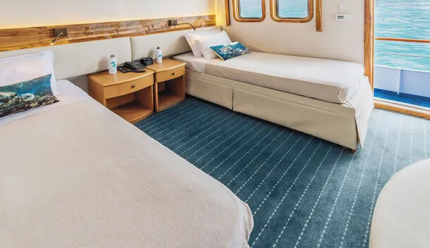 coral junior cabin suite