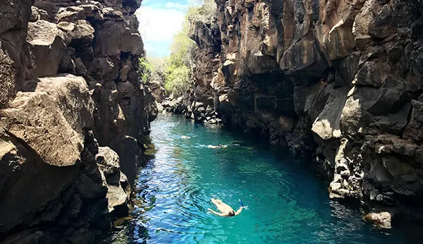snorkeling and scuba diving in the galapagos