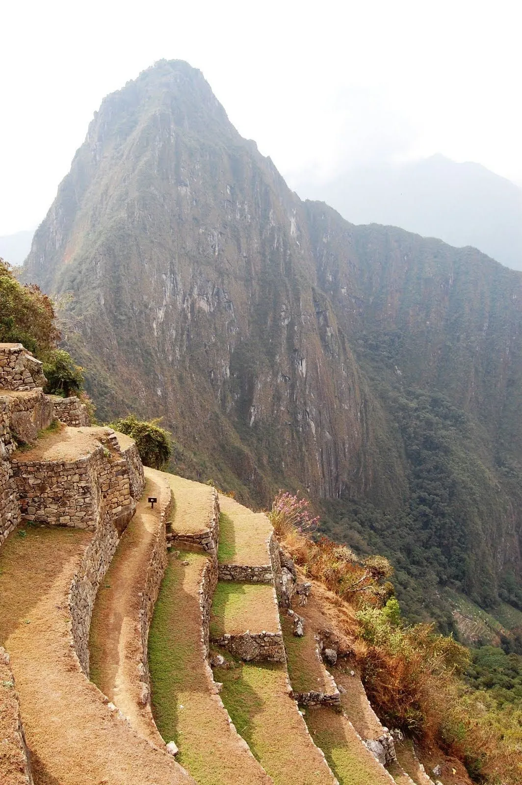Machu Picchu -LATAM Airlines