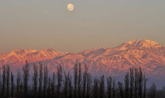 pink-andes-during-sunest-in-mendoza-argentina
