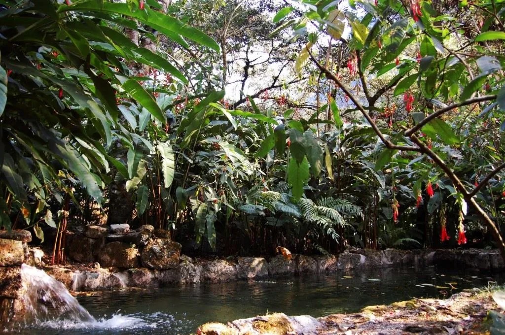 a-review-of-the-inkaterra-machu-picchu-pueblo-hotel