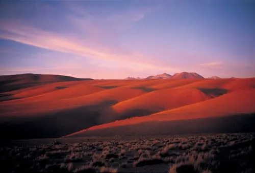 Atacama Desert Chile Tours
