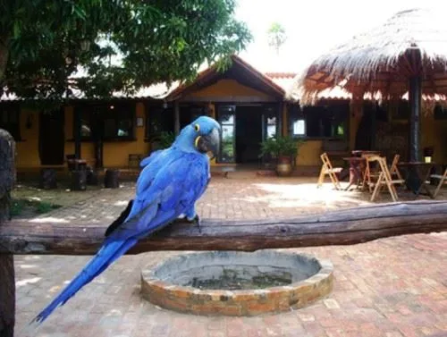 Araras Lodge Macaw pantanal