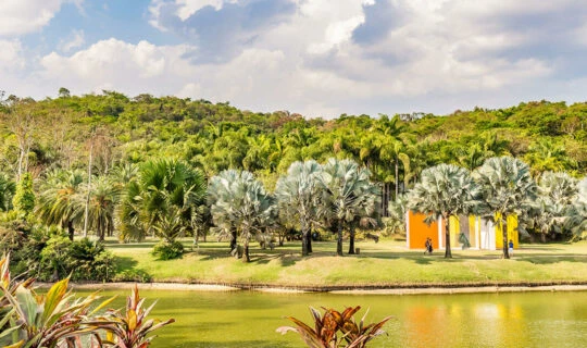 outdoor view of inhotim