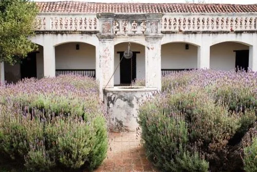 Jesuit Missions Cordoba Lavender garden