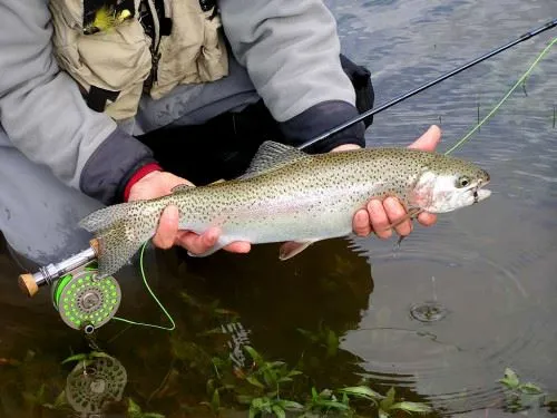 Fishing in Toro Lake, Patagonia Camp
