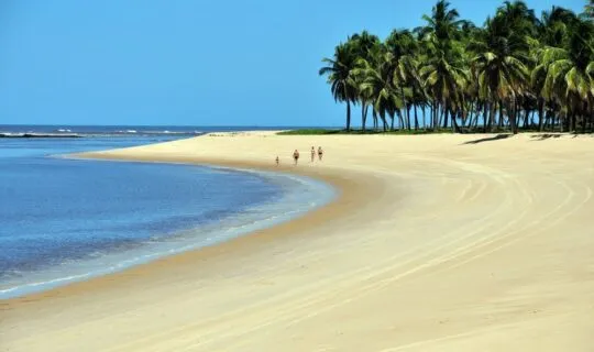 quiet-colombia-beach-with-distant-palm-trees-and-group