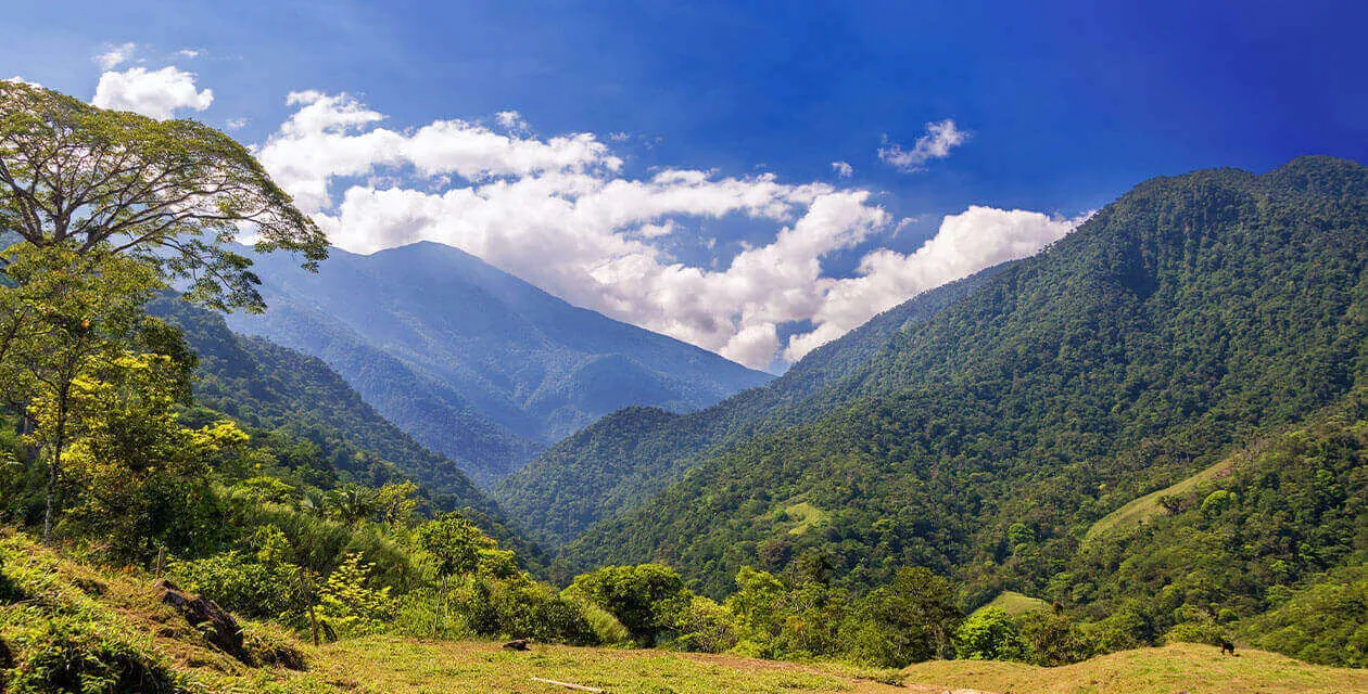 Tayrona jungle scenery and lush hills in Colombia