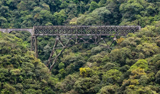 train bridge extending through rainforest