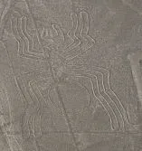 PENZA_Spider_Flickr_gg2cool_opt