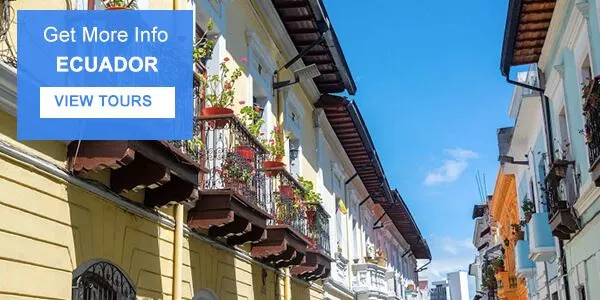 4 star ecuador