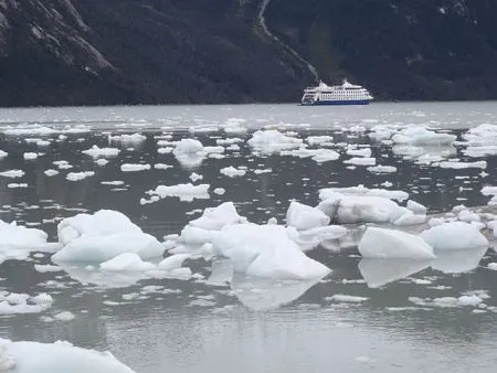Australis in Glacier Alley
