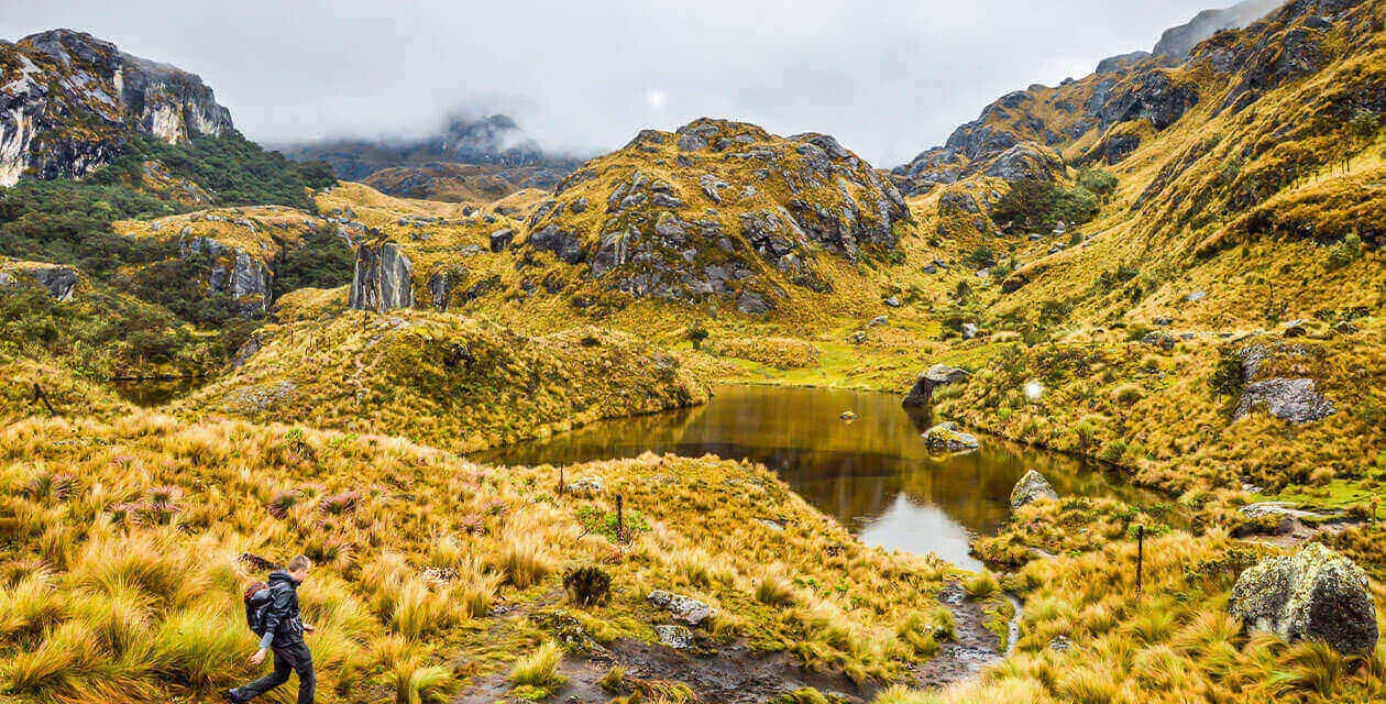 Cajas national park and hiker