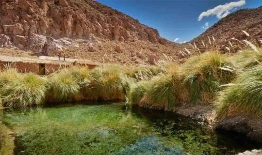 shallow-pool-within-arid-desert-in-south-america