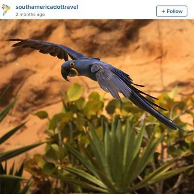 amazon instagram photo