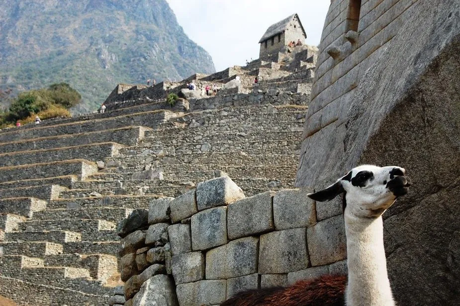 See Machu Picchu in 4 Days