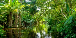 A national park in Bolivia you need to visit