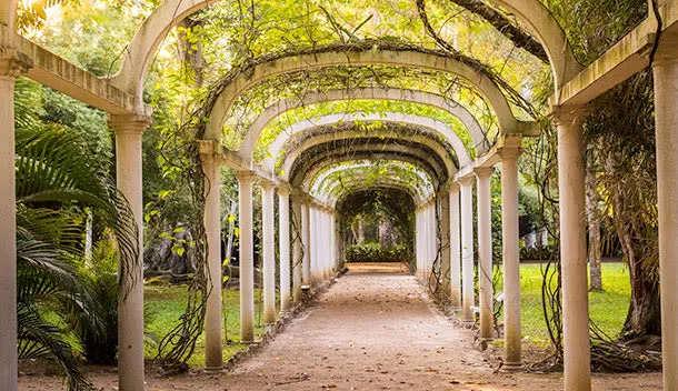 pretty archway in botanical gardens