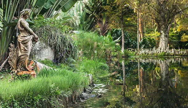 statue near a pond in the botanical gardens
