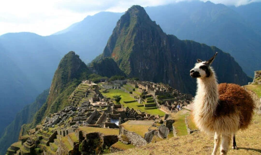 travel-tips-for-machu-picchu