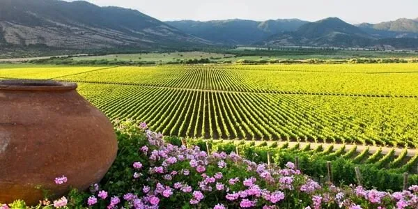 chilean-wine-regions