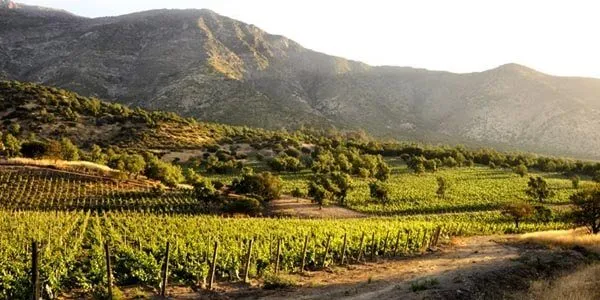 chilean-wine-regions