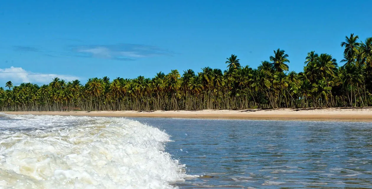 remote, palm-shaded beach in Colombia