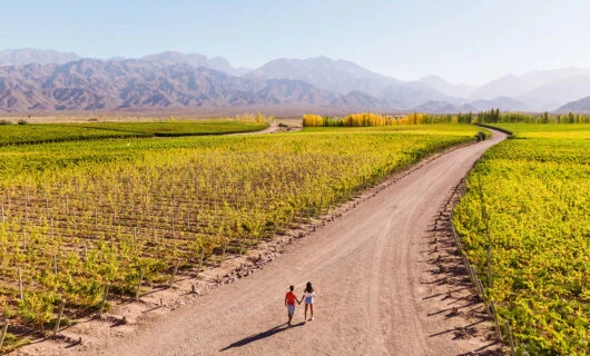 couple walking in mendoza argentina