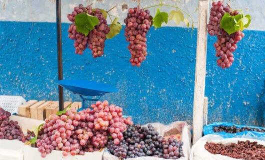 wine grapes in argentina