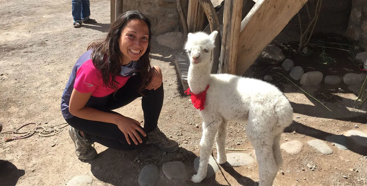 Travel Consultant Claudia petting a llama