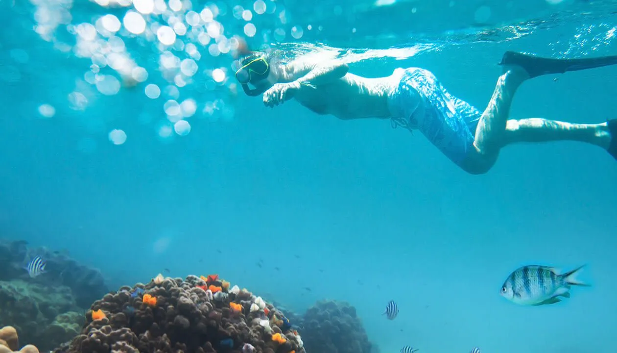 snorkeling fernandina island