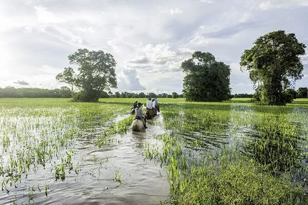 The Rio Mutum Pantanal Lodge 