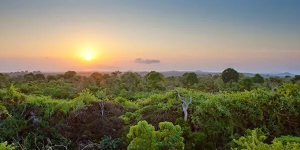 La Selva - Luxury Amazon Rainforest Tours