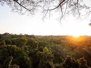 Anakonda Amazon Cruise - Luxury Amazon Cruises