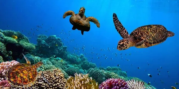 luxury Ecuador Tours 