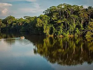 La Selva Lodge - Luxury Amazon Tours