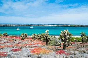 peru-during-the-rainy-season