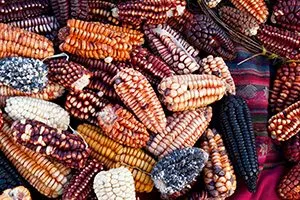 peru-during-the-rainy-season
